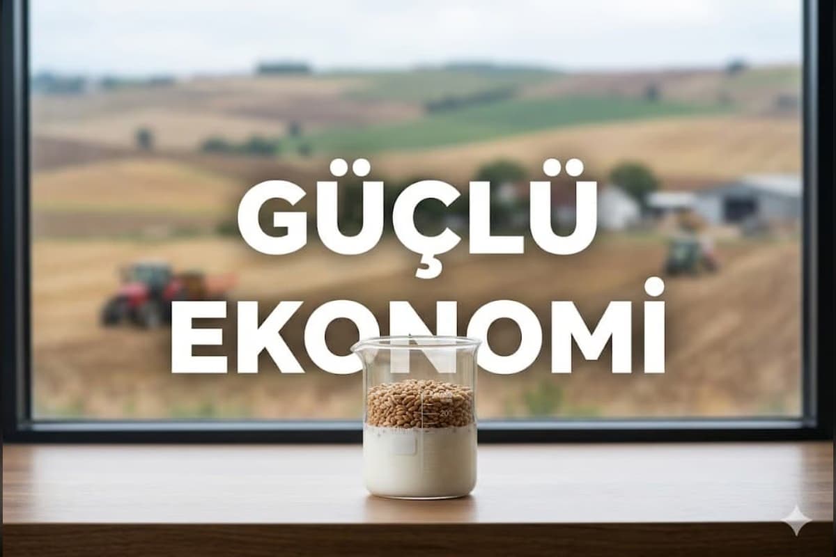 tatarlar köyiçi projemiz - 6