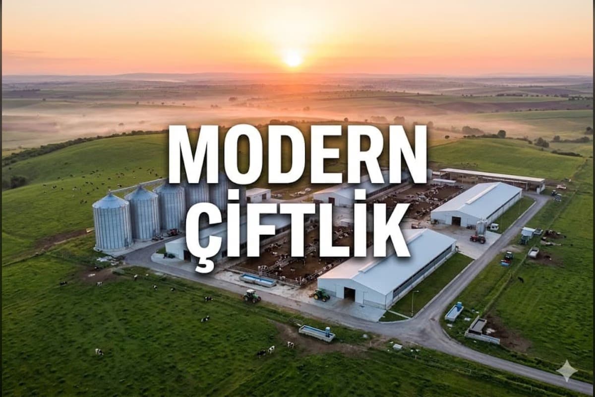 tatarlar köyiçi projemiz - 4
