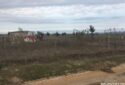 KAPAKLI UZUNHACI’DA 800M² YATIRIMLIK TARLA