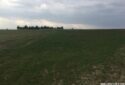 KAPAKLI UZUNHACI’DA 800M² YATIRIMLIK TARLA