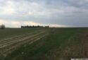 KAPAKLI UZUNHACI’DA 800M² YATIRIMLIK TARLA
