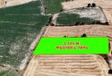 Dombayda Satılık Tarla 3.745MT